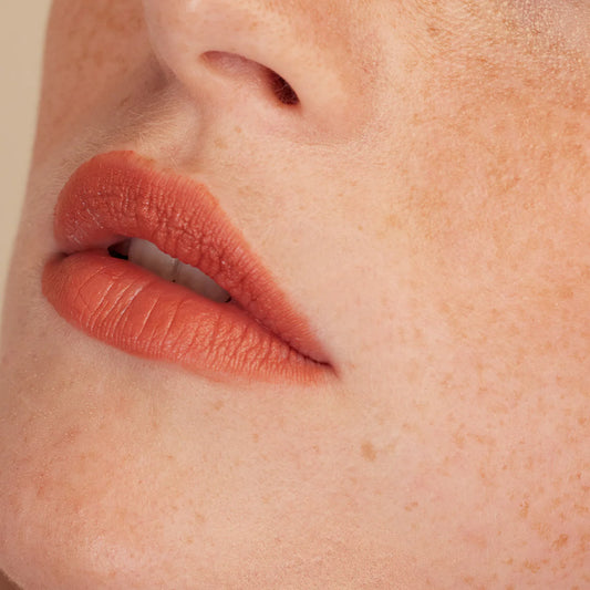 Rouge à Lèvres 001 Brique Date