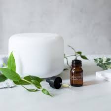 Aroma Diffuser 500ml