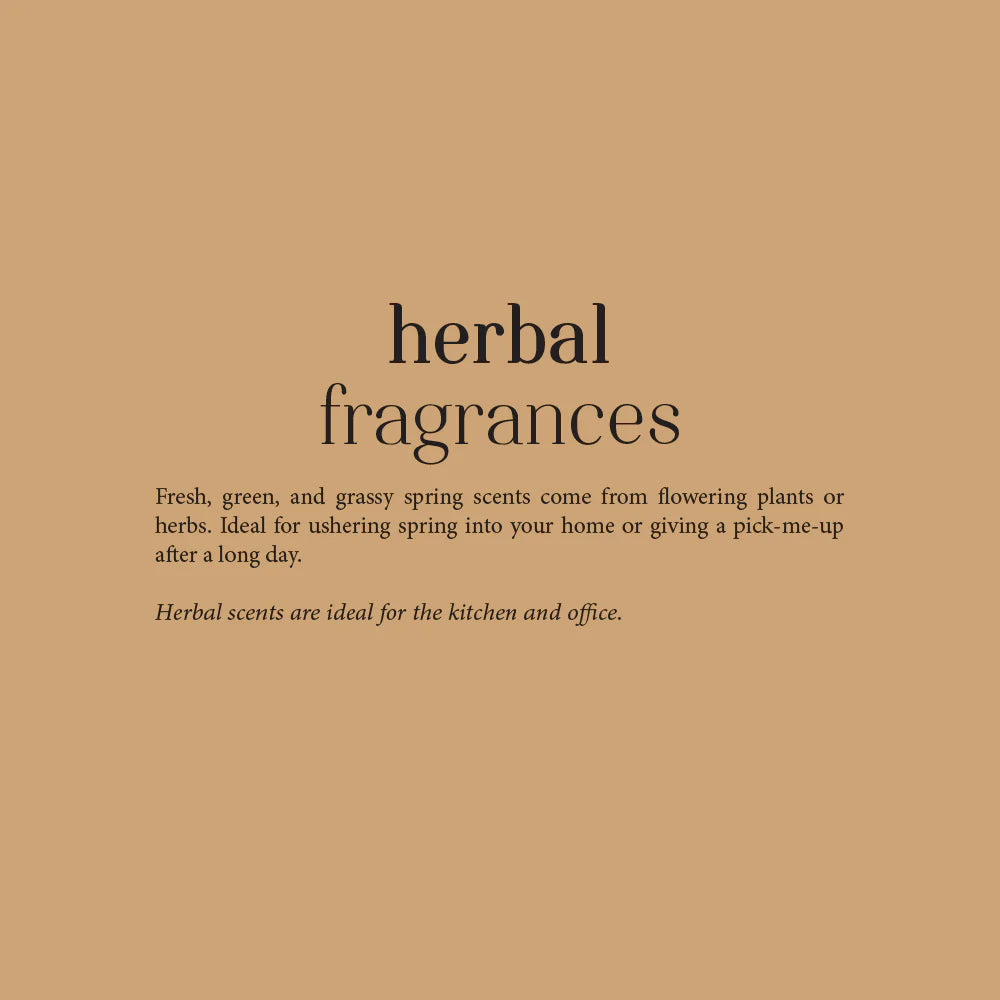 Essential Oil Rosemary 30ml