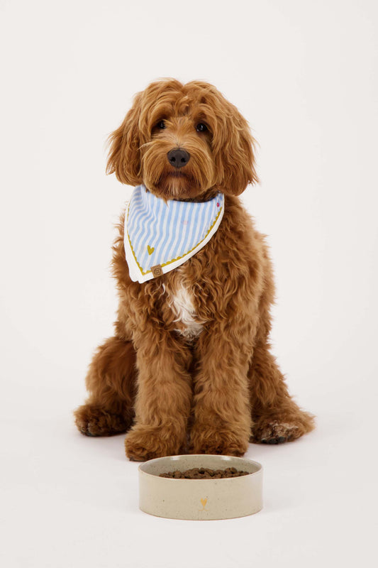 Bandana Bisous Hond - Gestreept - Wit/Blauw