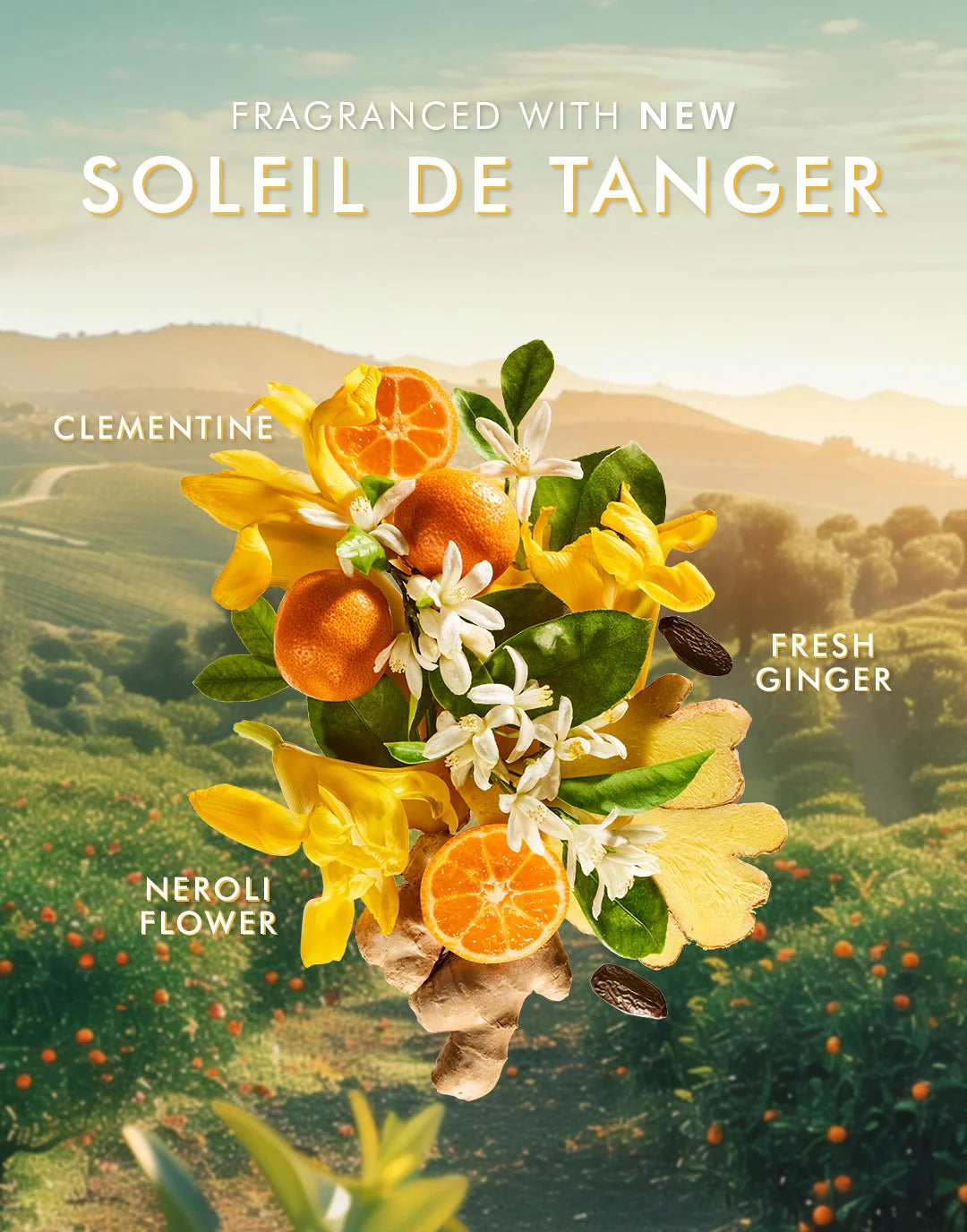Body Lotion Fragrance Soleil De Tanger 360ml