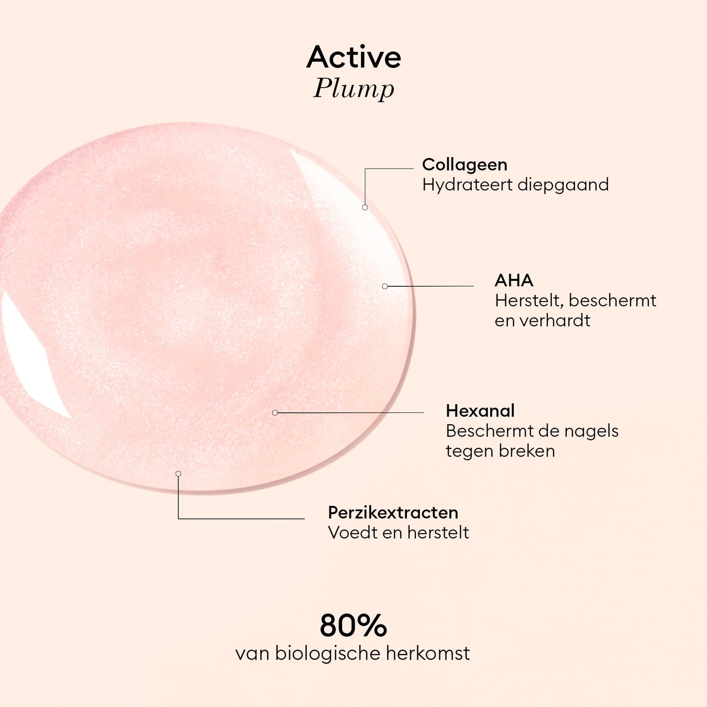 Active - Plump