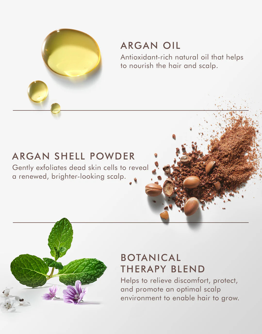 Scalp Purifying Scrub